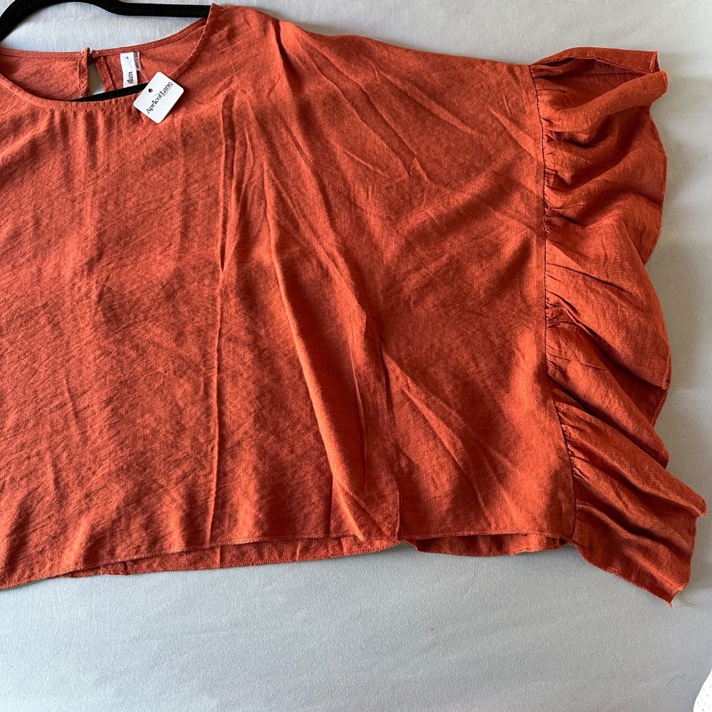 Apricot Blouse - Picture 3 of 3
